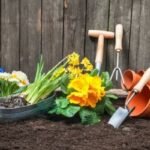 Sustainable Gardening Practices for Beginners