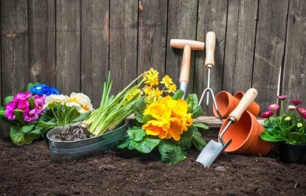 Sustainable Gardening Practices for Beginners