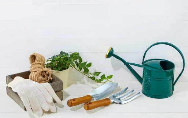 Use Eco-Friendly Tools