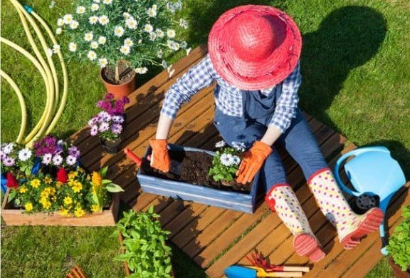 What Is Sustainable Gardening
