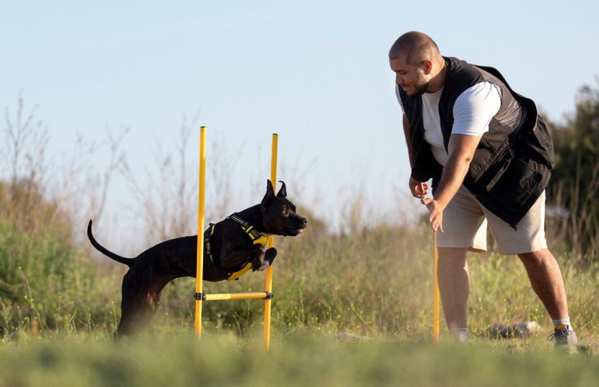 Navigating the Complexities of Training