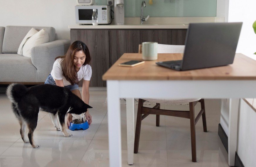The Total Disruption of Your Routine
