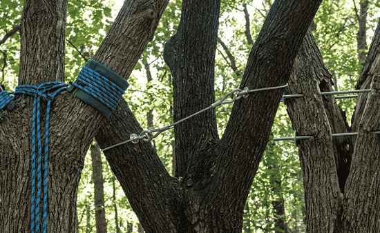 Advanced Standards in Arboricultural Hardware